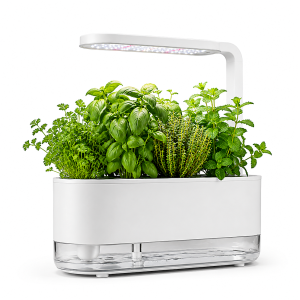 Velmoss Sprout Smart Indoor Herb Garden with LED